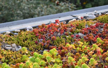 the cost of Cerne Abbas green roof installation