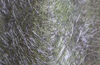 Cerne Abbas fibreglass roof work